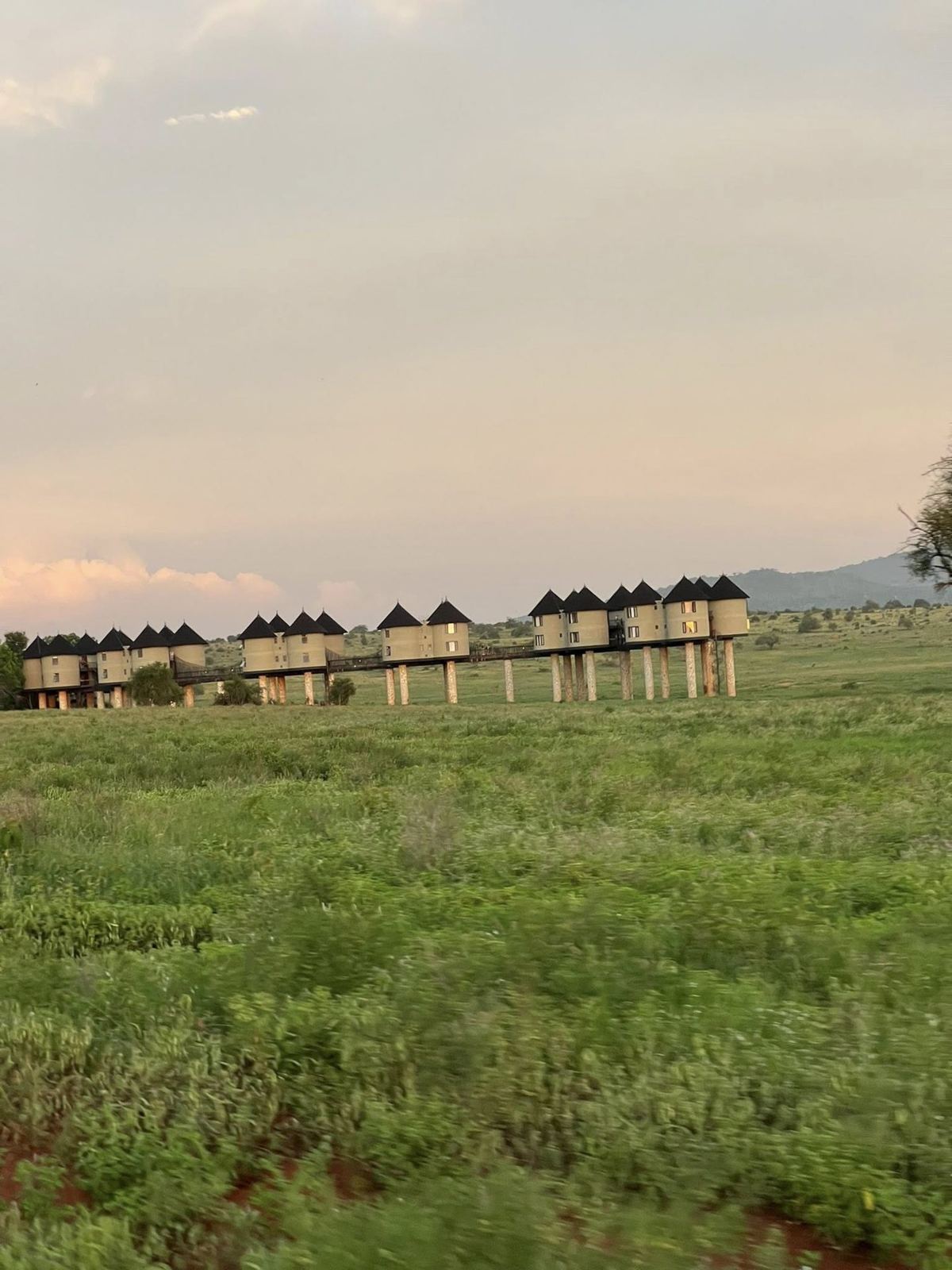 Maasai Mara