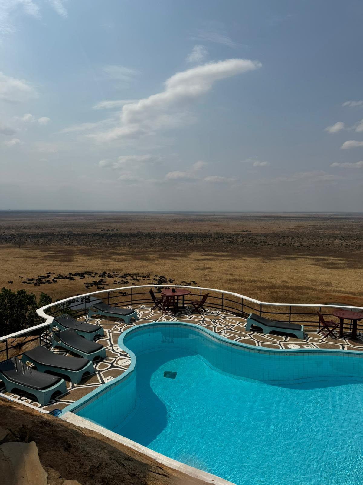 Wildlife dal Kenya